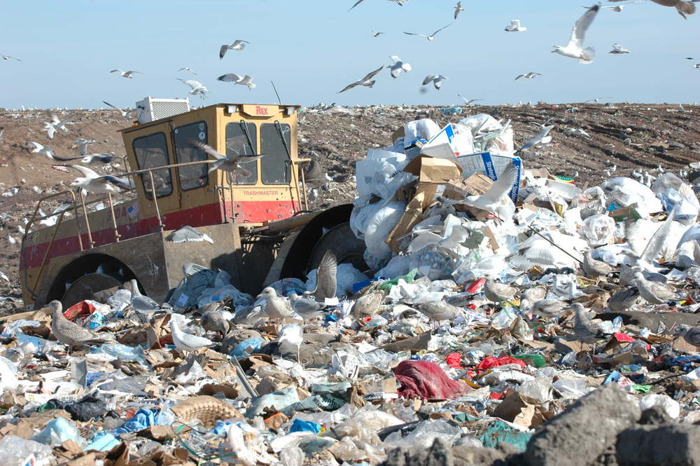 landfill.jpg